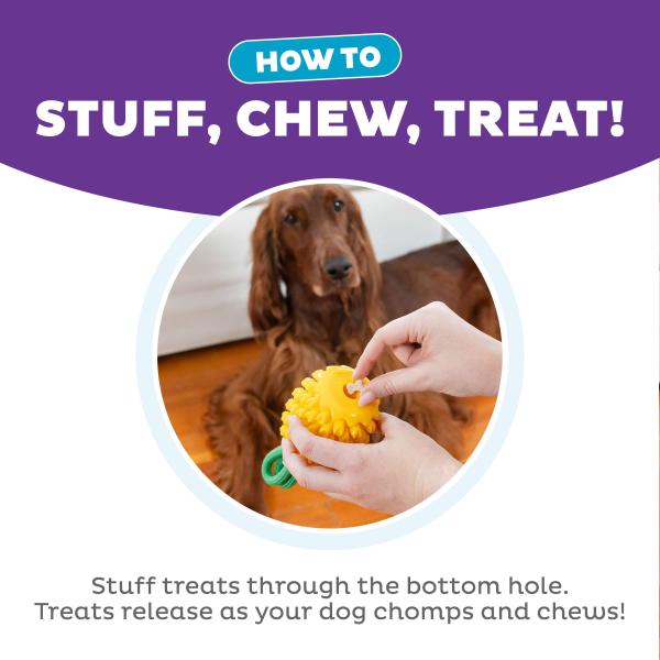 Outward Hound Dental Pineapple Outward Hound Dental Pineapple